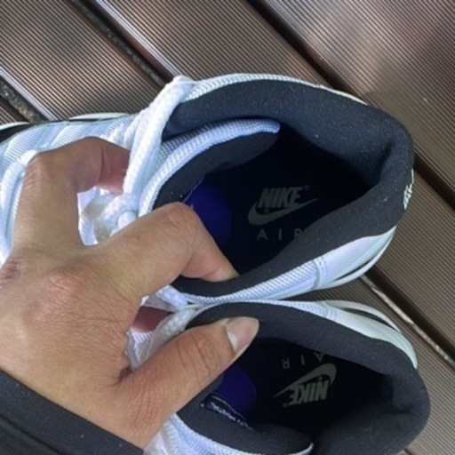 Air Jordan 11 Concord (2018)
