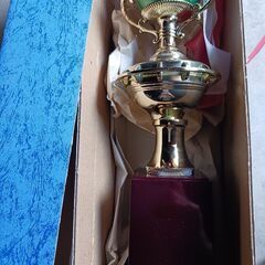 何も記載なし　トロフィーの画像