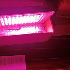 未使用144LED植物育成ライトUSB 5Vスイッチ付きの画像