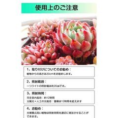 未使用144LED植物育成ライトUSB 5Vスイッチ付きの画像