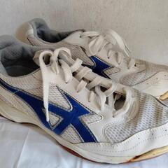 26㎝　MIZUNO　MoonStar  体育館シューズ 学校指定