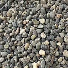 水槽用　砂利の画像