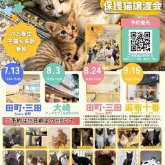 みなとねこ保護猫譲渡会＠田町