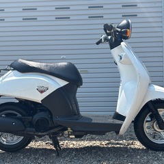 ◆実働札幌運搬込み6.5万円◆スクーター　バイク　原付　ホンダ　トゥデイ　AF61  運搬可 の画像