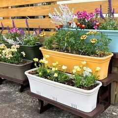 壁掛け鉢植え用プランナーフック2本セットの画像