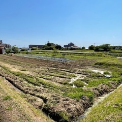 畑友達