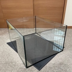 オールガラス水槽の画像