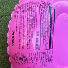 浮き輪　　フロートの画像