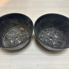 大きめ丸型プランター２つの画像