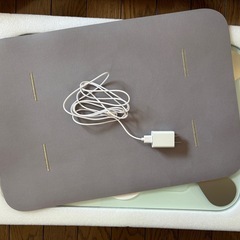 スマートバスマットの画像