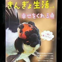 きんぎょ生活8