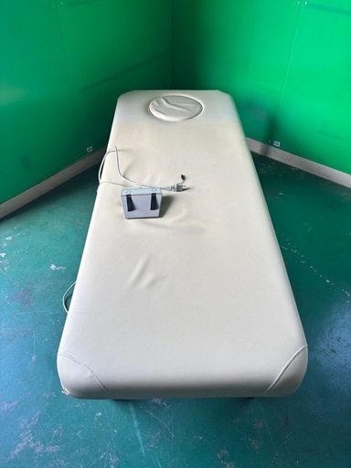 RAYDOW 電動ベッド RD-B-250310J30