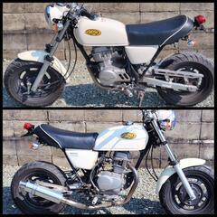 ホンダ　エイプ50　カスタム　ホワイトの画像