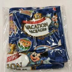 0629-254 ディズニー　ハンド・フェイスタオルセットの画像
