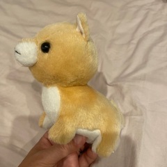 豆しばぬいぐるみの画像
