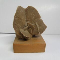 砂漠の薔薇 ローザ・デザート アルジェリア産 博物館展示仕様の台座と銘板付 取りに来ていただける方受け渡し日時自由の画像
