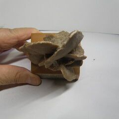 砂漠の薔薇 ローザ・デザート アルジェリア産 博物館展示仕様の台座と銘板付 取りに来ていただける方受け渡し日時自由の画像