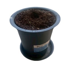 環境に優しい植木鉢　8号　野菜を育てる土入りの画像