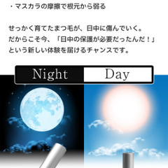 【 超お得 】ラッシュリフトカール　育毛美容液付き！