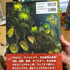 食虫植物のわなの画像