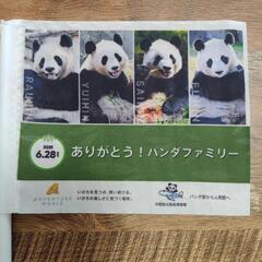 アドベンチャーワールド　パンダ見送り旗の画像
