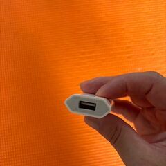 Apple 純正 電源アダプタ A1300の画像