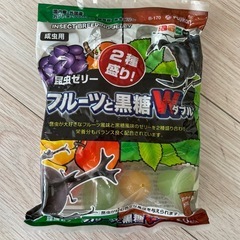 夏休みのアウトドアの画像