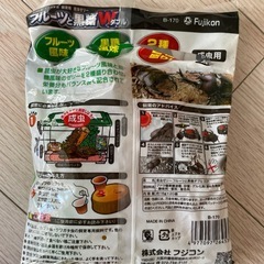 夏休みのアウトドアの画像