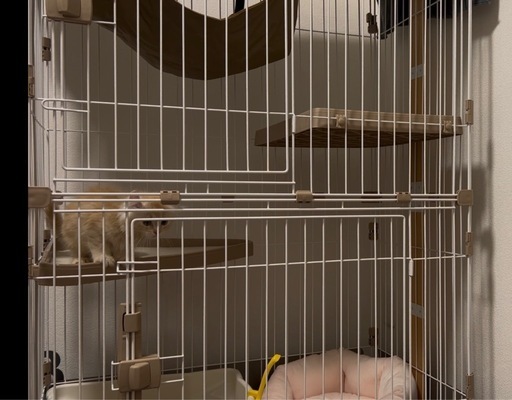 猫ちゃんケージ　ほぼ新品