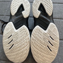 ASICS V-SWIFT FF 3の画像