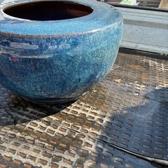 メダカ鉢 火鉢 金魚鉢 陶器 水鉢 睡蓮鉢の画像