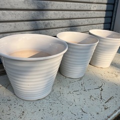 白い
植木鉢