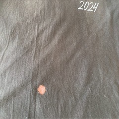 JAPAN JAM2024 フラワー　Tシャツ　Lサイズの画像
