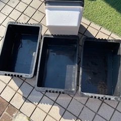 【飼育容器】NV BOX13、ダイソー容器 メダカ飼育等に