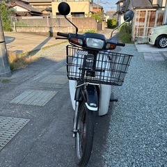 カブ　100 タイカブの画像