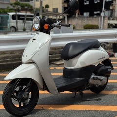 【人気車種入荷❗️】ホンダ トゥデイ AF67 パールホワイト【...