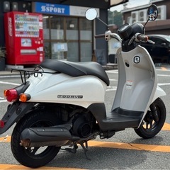 【人気車種入荷❗️】ホンダ トゥデイ AF67 パールホワイト【ご成約でヘルメットプレゼント】の画像