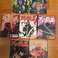 【北斗の拳】マンガ全巻の画像