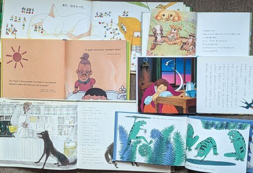 絵本まとめ売りセット 全13冊 ハードカバー 美品 中古 (ダニ Boy