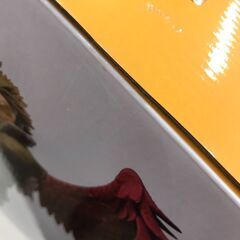 [ジャングルジャングル広陵店]一番くじ 僕のヒーローアカデミア I'm Ready!　D賞　ホークスの画像