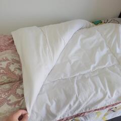 【2025年3月に購入しました】布団の画像