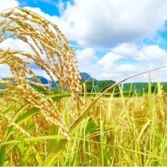 沖縄の農業について　情報交換したいです。