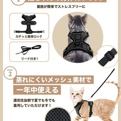 ペット用ハーネスの画像