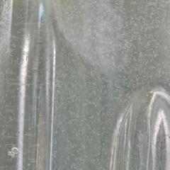 めだか　針子にゾウリムシ　メダカ