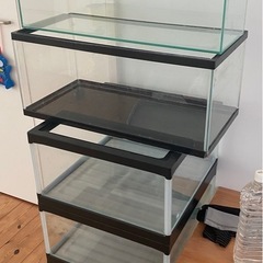 ガラス水槽５本セット