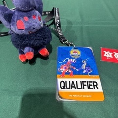 ポケカ練習相手、チームメンバー募集