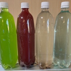 🐠メダカ、各種稚魚育成 1L４本セット＋気持ち^_^ 🐠