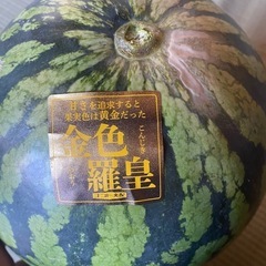 ②スイカマイスター　金色ラオウ　特大サイズ　の画像