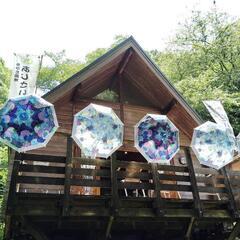 あじさいを見に行きました。