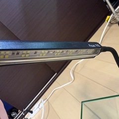 30cmオールガラス水槽+lightセットの画像